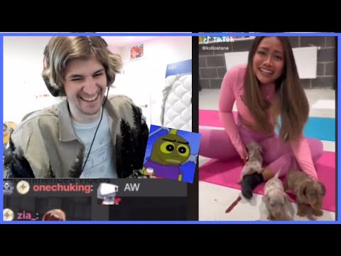 xQc can't believe someone sent this TikTok...