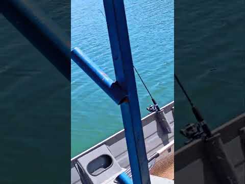 lago serra da messa #lago #serra#damesa#niquelandia #goiás #brasil