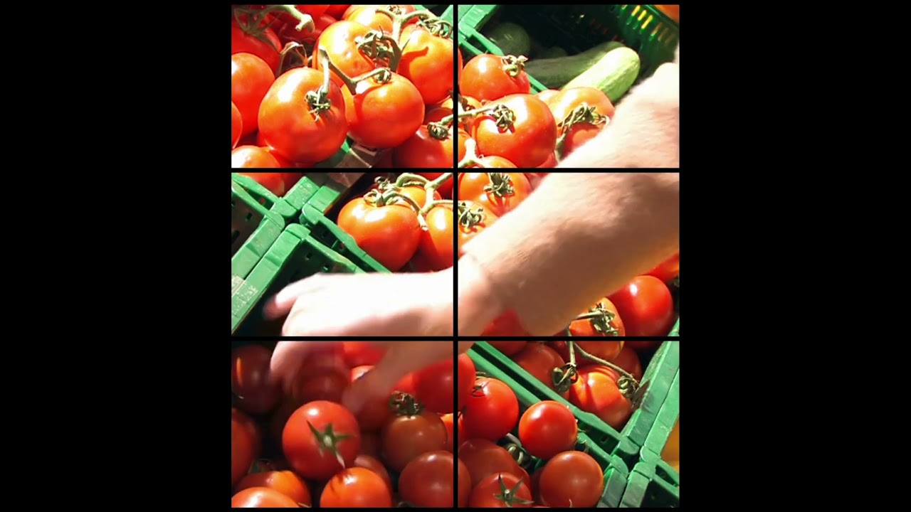 BONbLOC - ONELIGN - FSMA