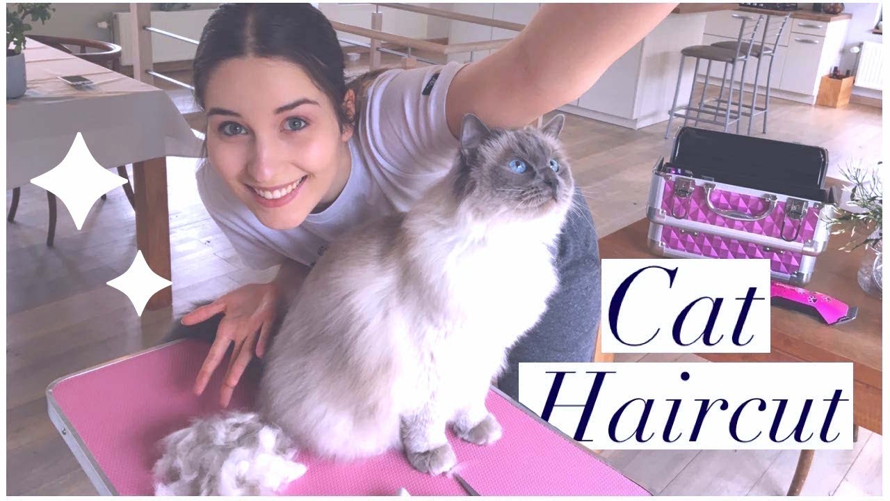 YouTube video preview