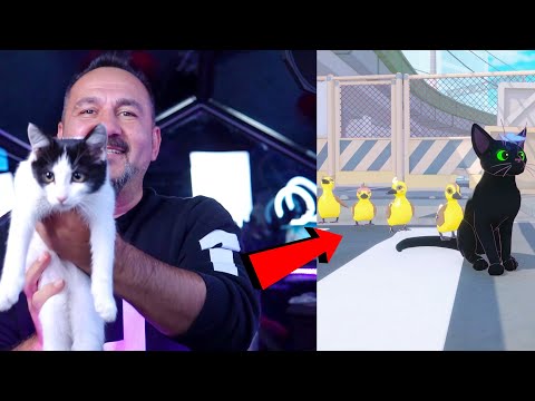 WE COLLECTED THE CURIOUS LITTLE CAT DUCKKITS! | Little Kitty, Big City PLAYING Episode 2