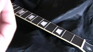 Video thumbnail for Ernie ball guitar Polish by Su Soadori
