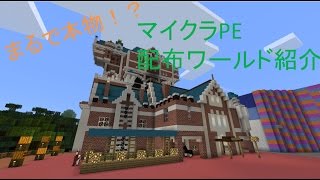 100 Epic Bestマイクラ ディズニー 配布 Pe ディズニー画像