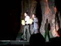 Disney Live Winnie The Pooh