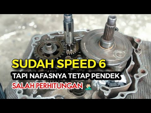 Installing a Honda Tiger transmission in the CB family || it's already 6 speed but the breath is ...