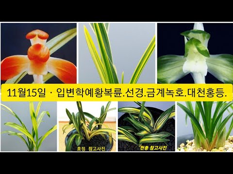유튜브 썸네일