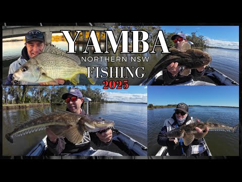 YAMBA NORTHERN NSW FISHING 2025 !!
