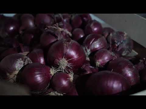 Složno, uspešno! ep. 42 05.01.2021. NAJAVA