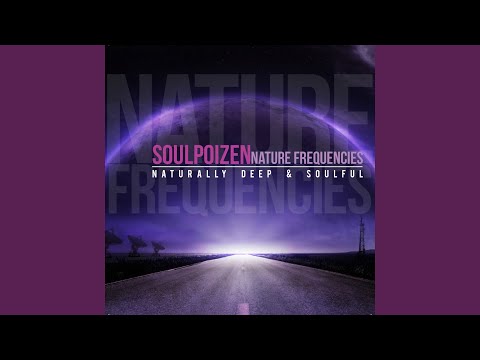 When I'm with You (feat. Holi M) (SoulPoizen Classic Mix)