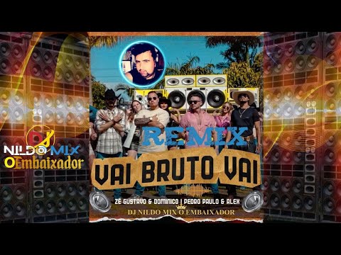 ZéGustavo e Dominico Pedro Paulo e Alex #LAnçamento Dj Nildo Mix o Embaixador  Vai Bruto Vai Remix