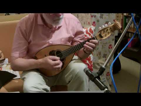 Mandoline lernen Kapitel 13 - Blues Quartett - Demo