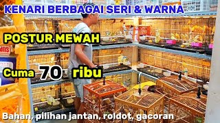 Download lagu REVIEW!!!! LATEST CANARY PRICES WITH LUXURIOUS POSTURES, CHEAP PRICES, November 2, 2025 mp3 Download lagu REVIEW!!!! LATEST CANARY PRICES WITH LUXURIOUS POSTURES, CHEAP PRICES, November 2, 2025 mp3