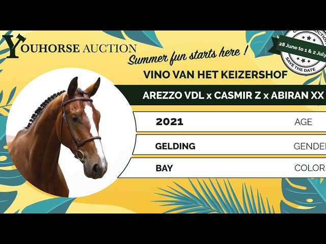 Vino van het Keizershof showvideo