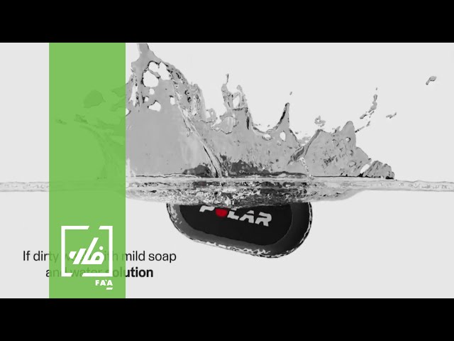 بولار – جهاز لمراقبة معدل ضربات القلب للخيول H10 أثناء ركوب الخيل