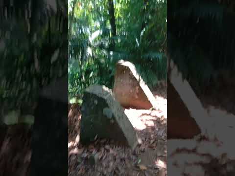 Senderismo Mirador Ph Reventazón Florida Siquirres Limón Costa Rica