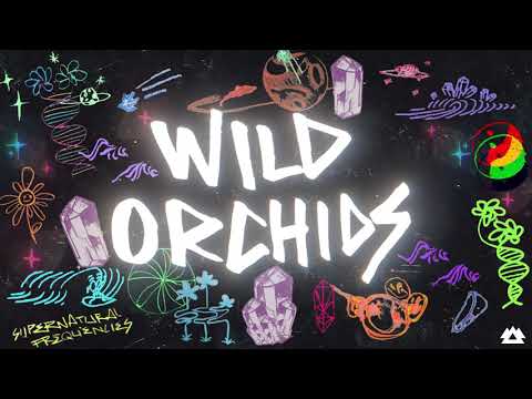 Video thumbnail for Wild Orchids