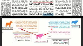 דף יומי מסכת זבחים דף  Daf yomi Masechet Zevachim page ע"י יוני גוטמן (שיעורי הדף היומי ב-20 דקות – מועבר ע"י ר' יוני גוטמן – לעילוי נשמת אביו ר' אלימלך צבי (צביקה) גוטמן ז"ל) - התמונה מוצגת ישירות מתוך אתר האינטרנט יוטיוב. זכויות היוצרים בתמונה שייכות ליוצרה. קישור קרדיט למקור התוכן נמצא בתוך דף הסרטון