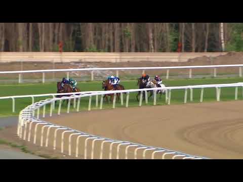 2018.06.18 Bloomers' Vase (SWE) - Icecapada