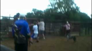 preview picture of video 'bullriding in hardin tx 2'
