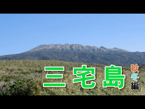 美しい火の島‐三宅島‐[秋・冬編]