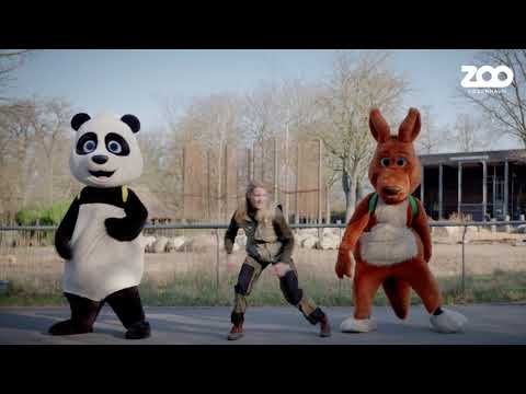 ZOO Børneklub: Pelle & Kaya-sangen MUSIKVIDEO