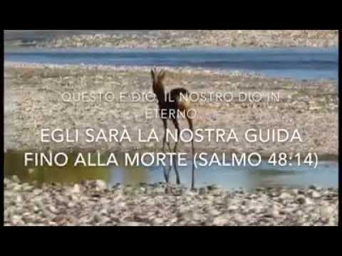 Se mi trovassi nella tempesta