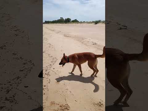 URUGUAY hermosas playas, departamento de Colonia en la ciudad de Juan Lacaze a 50 km playa Charrua