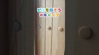 【ダンドリちゃんの建築DIY雑学】ビスを隠そう！Wキャップ #ダンドリビス #建築 #DIY