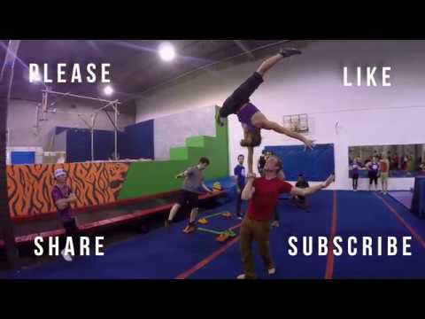 Jungle Movement Soft Opening