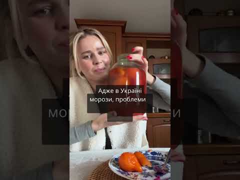 Сторож Катерина вас вітає. Українська кінозірка показала свій зимовий стиль