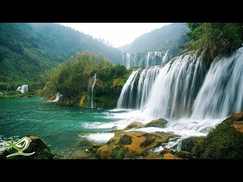 Beautiful Bansuri Flute & Cello Music with Guitar & Piano Accompaniment
