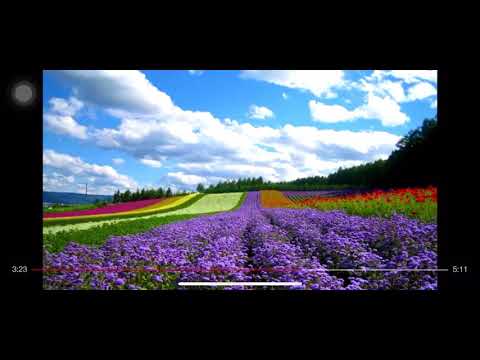 Mùa hè đ n karaoke tone nữ hạ tone