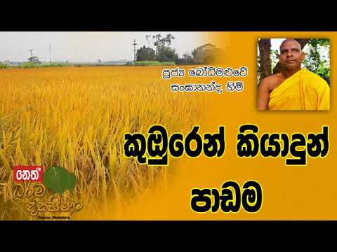 Darma Dakshina 2019.07.20 - Bodhi Maluwe Sangananda Himi