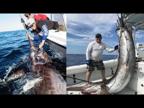 Most Satisfying Sea Fishing Videos Giant Bluefin Tuna & Swordfish Fishing skill By Handline on Sea
