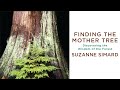 Finding the Mother Tree: An Evening with Suzanne Simard