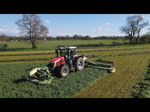 FAUCHES DES RAY-GRASS 2023 // MASSEY FERGUSON 8s.265 // FARMER IRL