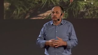 Времето, за което никога нямаме време | TEDxSofia 2025