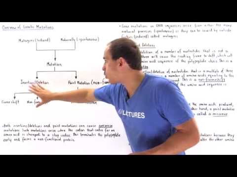 Summary of Gene Mutations