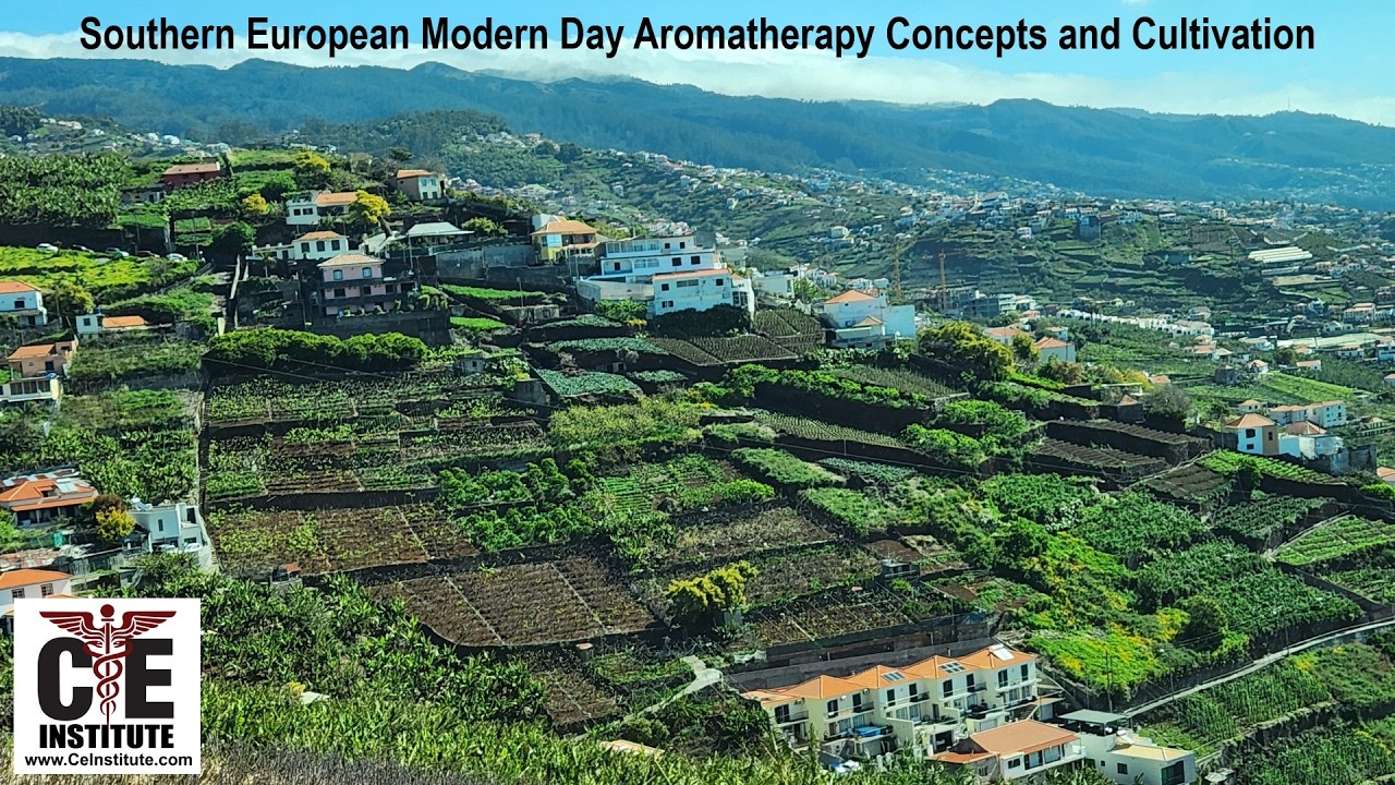 Modern Day Southern European Aromatherapy Concepts and Cultivation