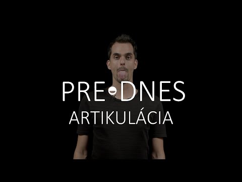 🗣 PREDNES | vlog: Artikulácia