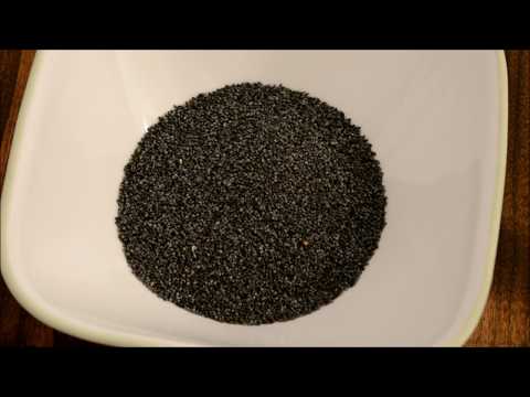 download lagu mp3 mp4 Poppyseed Com, download lagu Poppyseed Com gratis, unduh video klip Poppyseed Com