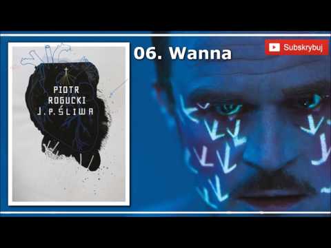 PIOTR ROGUCKI - WANNA (6 TRACK J.P. ŚLIWA)