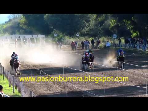 Polla Potrillos Rincon del Aguará: Gayle Ryon RDA, Frias (15-06-14)