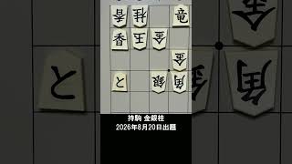 【詰将棋・7手詰】6筋・7筋に鉄壁の守り！その分厚い壁を一瞬で崩壊させる激痛の一撃は？ #もりけん #詰将棋 #TsumeShogi #Shogi #shorts