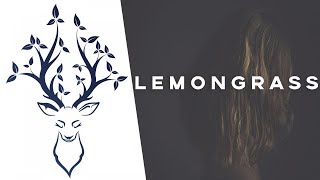 Jane Maximova - Novel (Lemongrass Remix) video