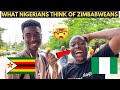 🇳🇬🇿🇼 What Nigerians Think of Zimbabweans & Zimbabwe is Shocking 🤯