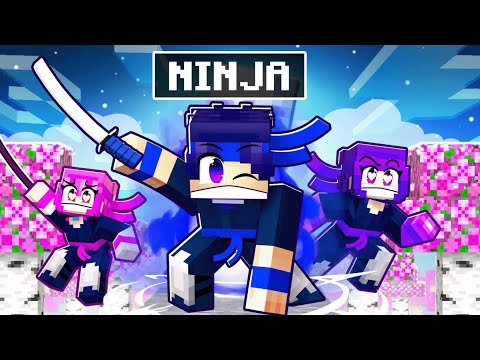AndyCraft - I HIRED NINJAS TO KILL MY CRAZY FAN GIRLS! (Minecraft)
