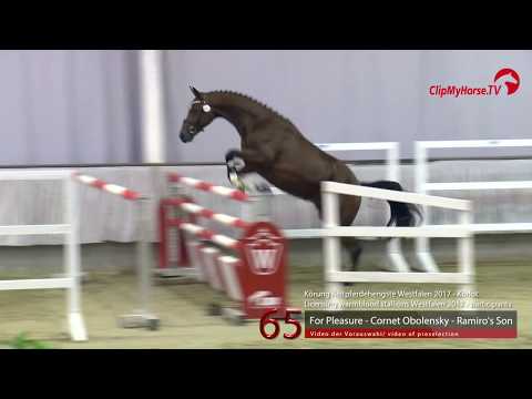65 Junghengst v. For Pleasure - Cornet Obolensky