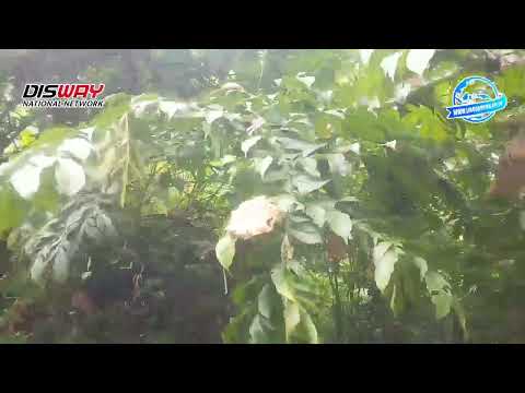 Jalan Menuju Taman Bungai B4ngkai