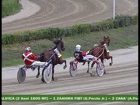 PROVA DI QUALIFICA DEL 3 OTTOBRE 2017 Mt 1600 2 Anni